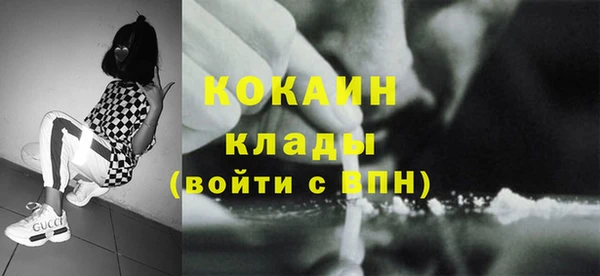 ГАЛЛЮЦИНОГЕННЫЕ ГРИБЫ Заполярный