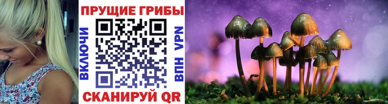 Галлюциногенные грибы мицелий сайты даркнета какой сайт Ленск где купить наркотик